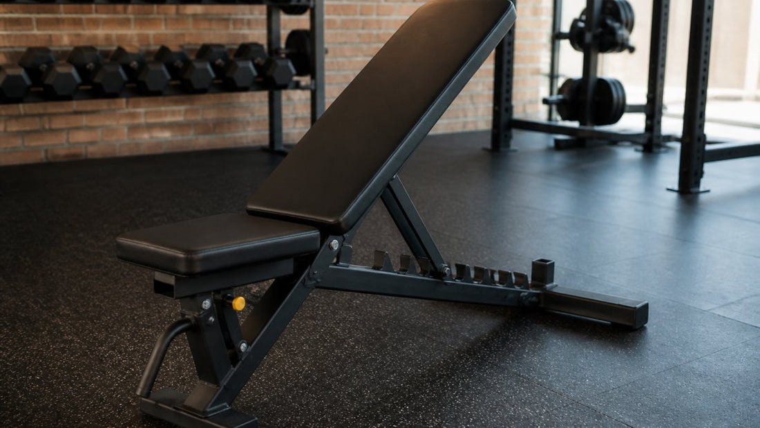 Essential Features of High Quality Weight Benches