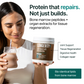 StemCell Protein