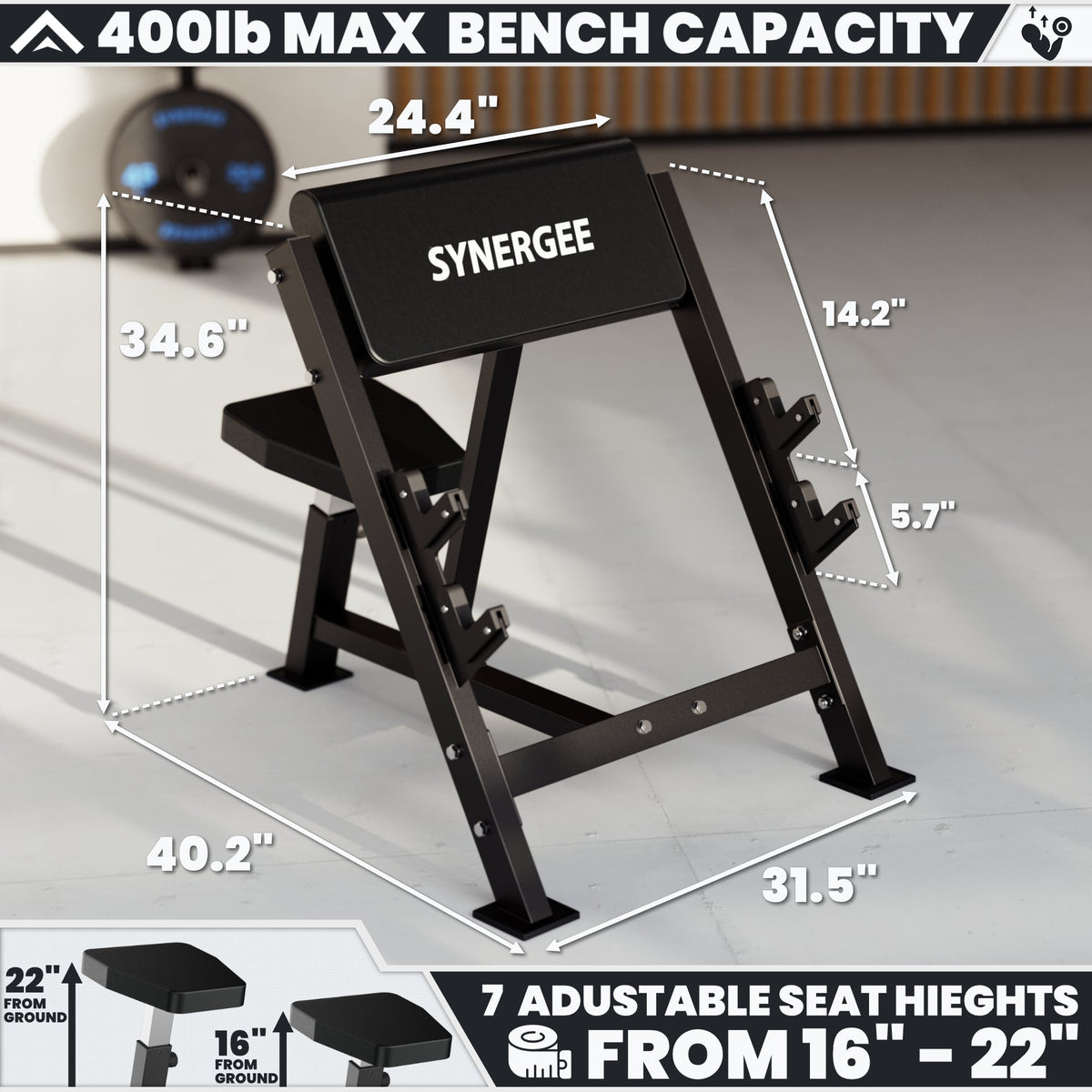 Synergee Preacher Curl Bench